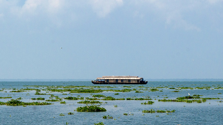 Kumarakom wetland at golden hour